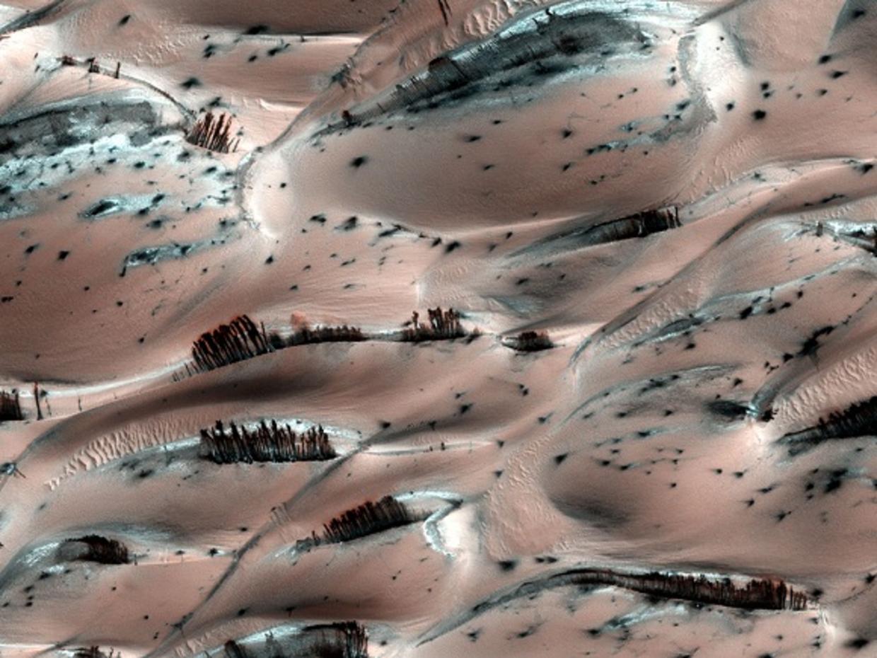 Spring in the polar areas of Mars